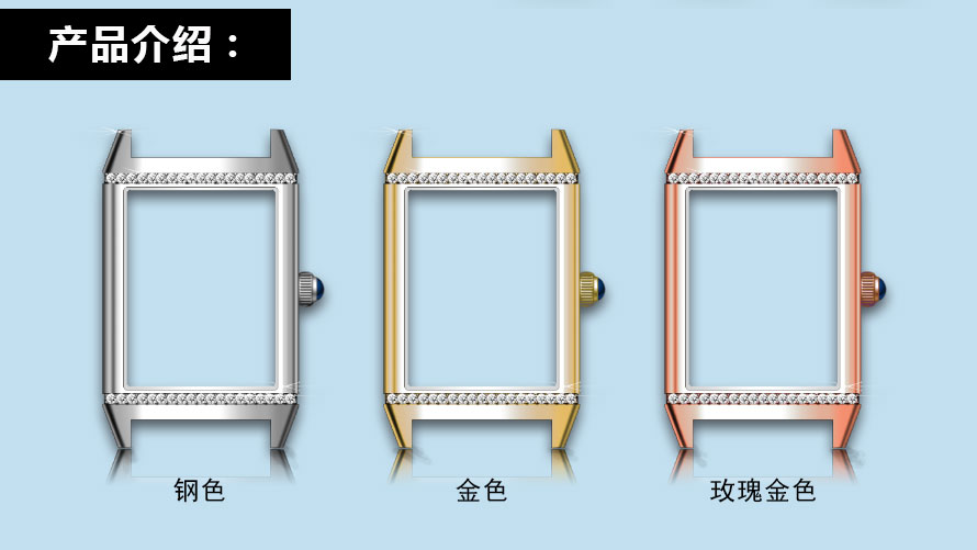 Case-Details_02.jpg
