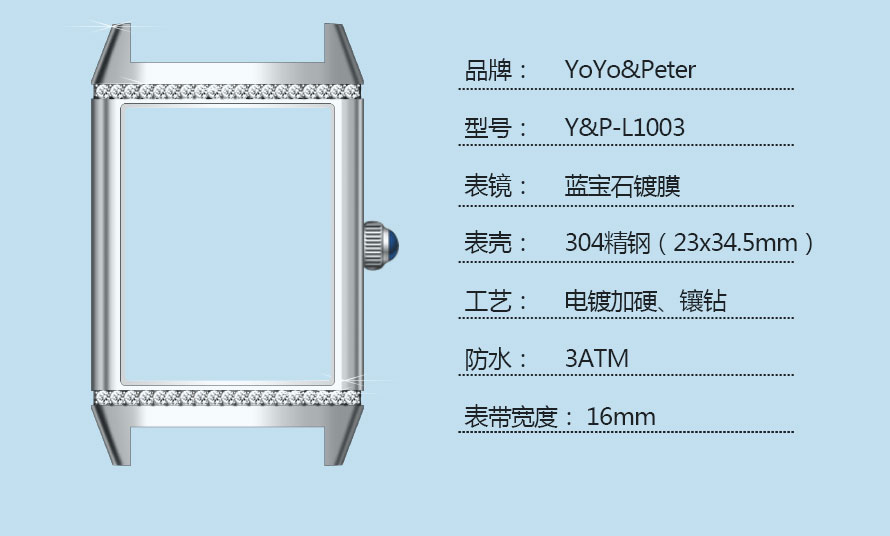 Case-Details_03.jpg