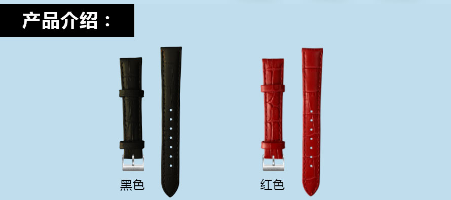 Strap-Details_02.jpg