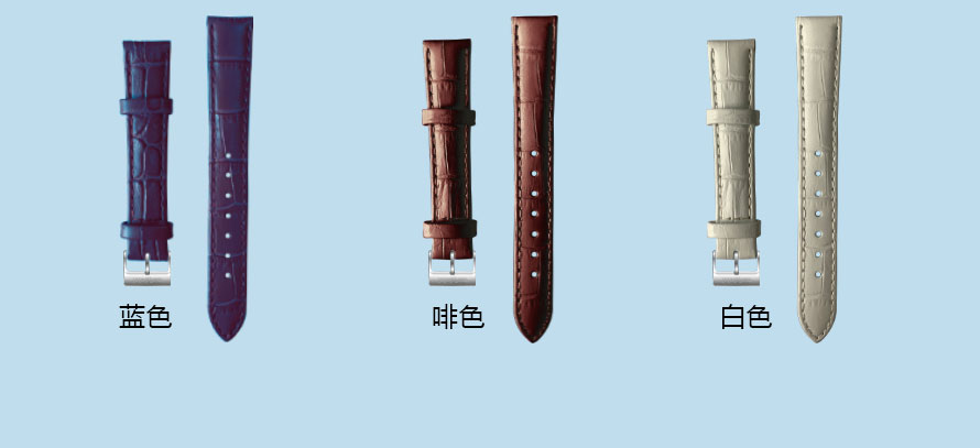 Strap-Details_03.jpg